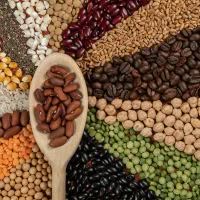ingredient icon