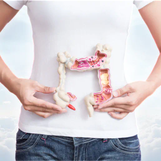 Intestine